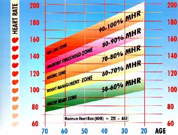 Exercise Heart Rate Zones Chart