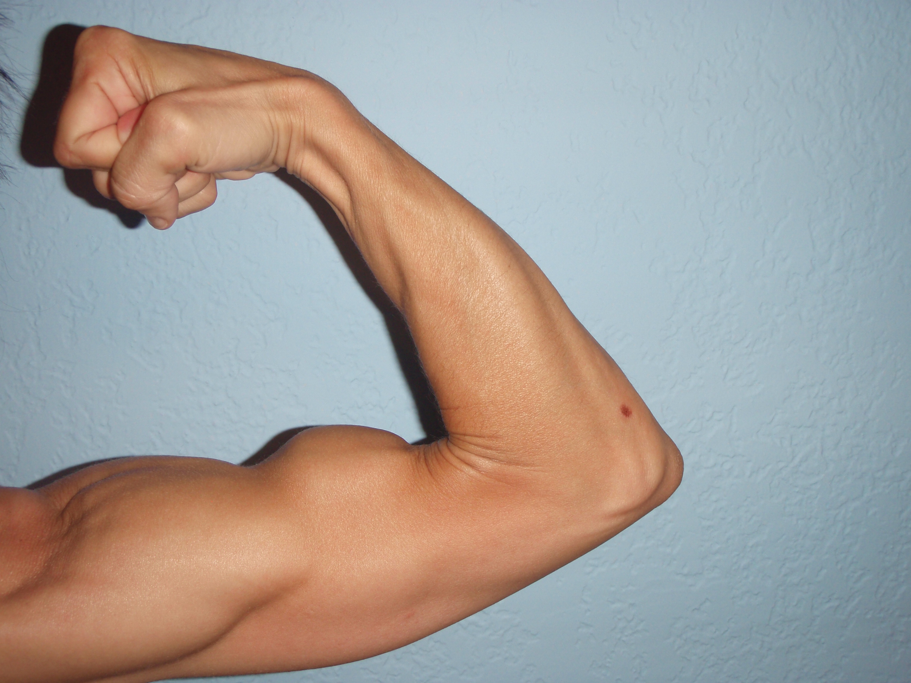 MizFit training: biceps, triceps, & shoulders. - Carla Birnberg