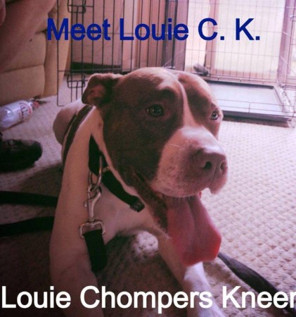 Meet+Louie